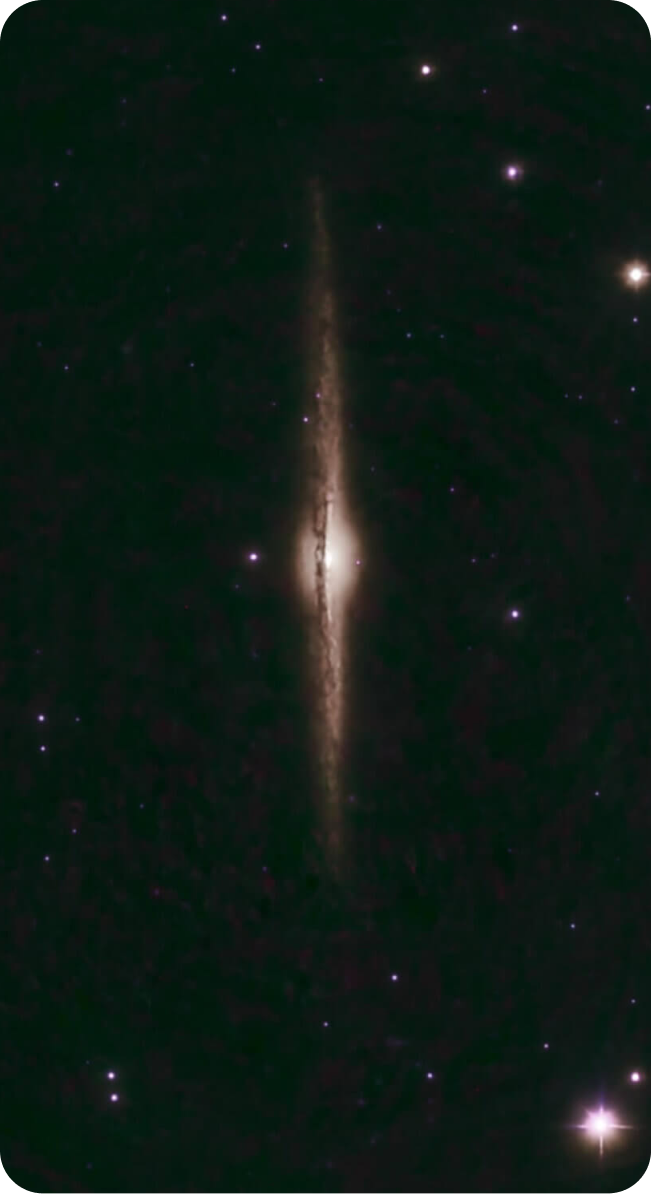 NGC 4565